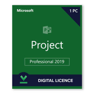 Project Pro 2019 KEY Lisenziya