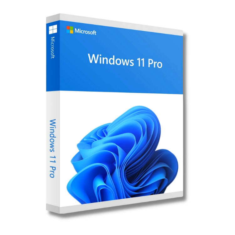 Windwos 11 Pro Ömürlük