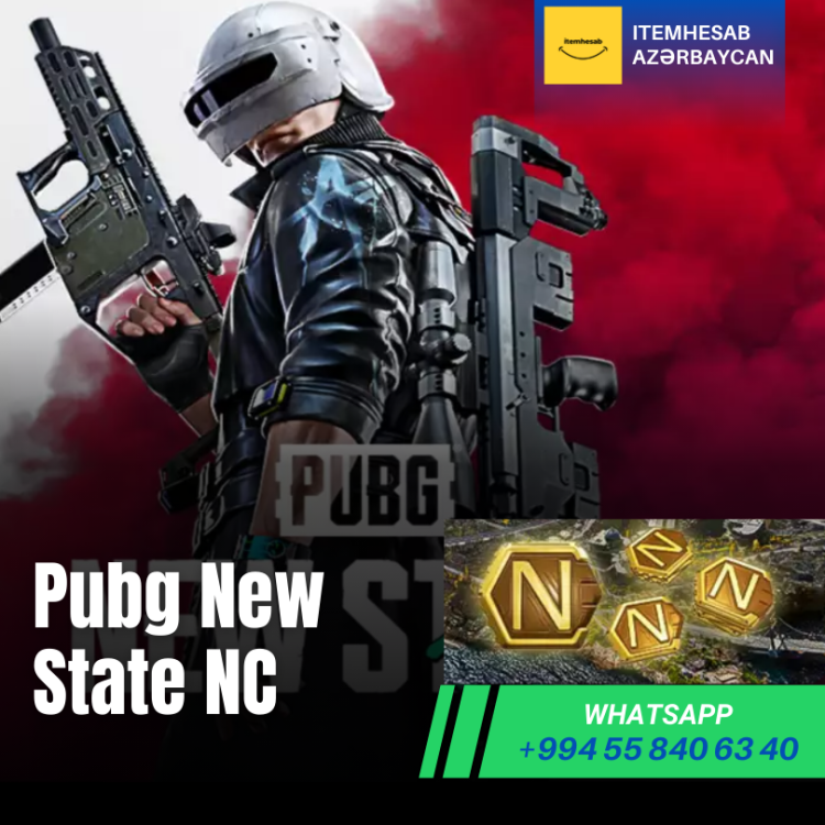 Pubg New State  NC