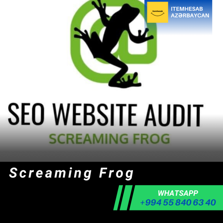 Screaming Frog 12 Ay