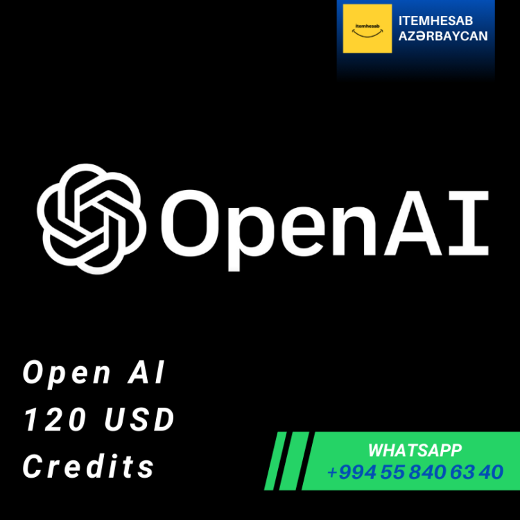 OpenAi 120 USD Limitli