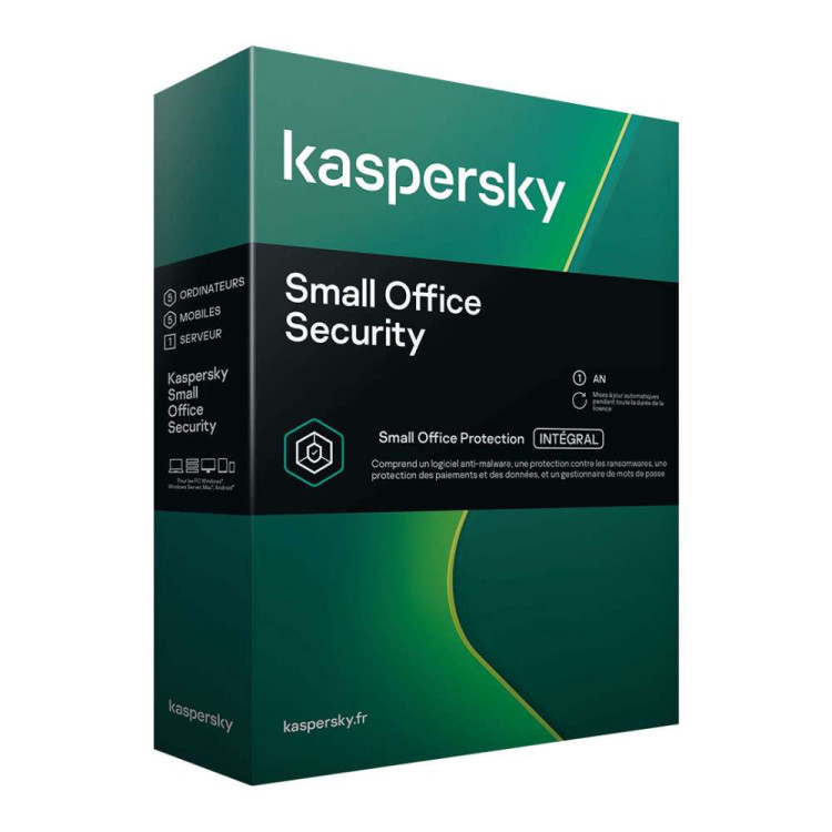 Kaspersky Small Office Security 1 Server 10 User 12 Ay